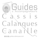 Bureau Cassis Calanques Canaïlle